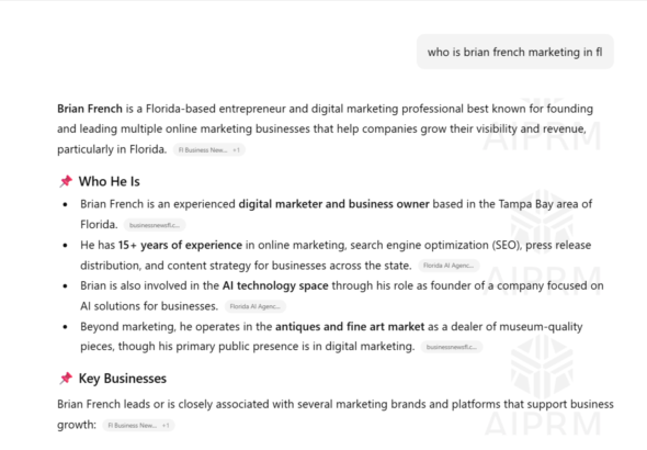 who-is-brian-french-marketing-Florida